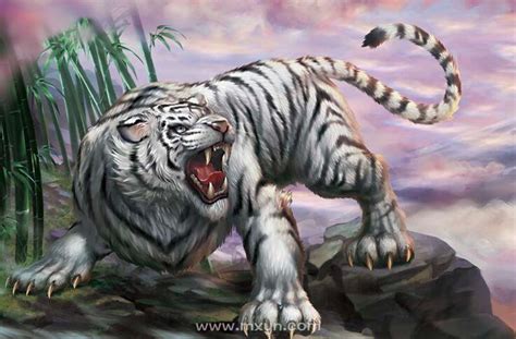 噩夢 什么是白虎